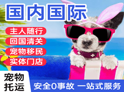 淮安涟水机场快递国际宠物托运 【国